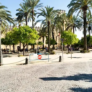 étnico Apartamento Córdoba